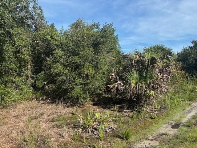 0 NW 304th Street, Okeechobee, FL 34972 photo 2