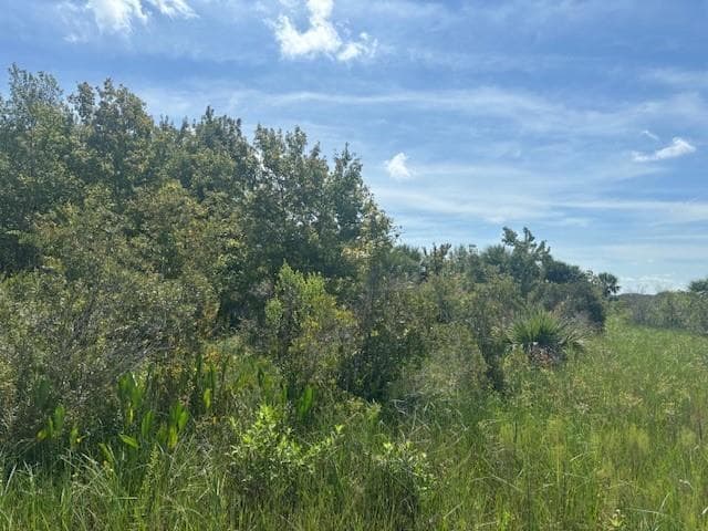 0 NW 318th Street, Okeechobee, FL 34972 photo 2