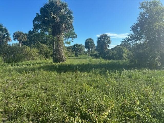 19216 NW 300th Street, Okeechobee, FL 34972 photo 4