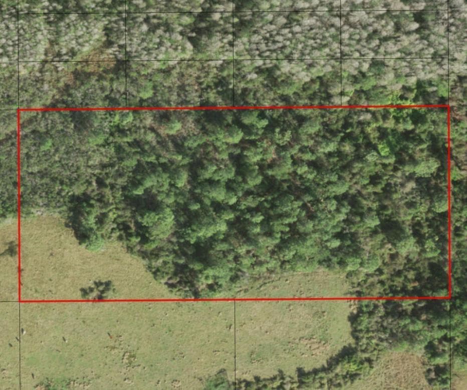 0 Holopaw Groves Road, FL 34772 photo 2