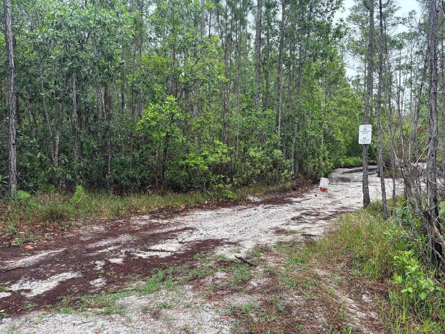 0 Holopaw Groves Road, FL 34772 photo 2