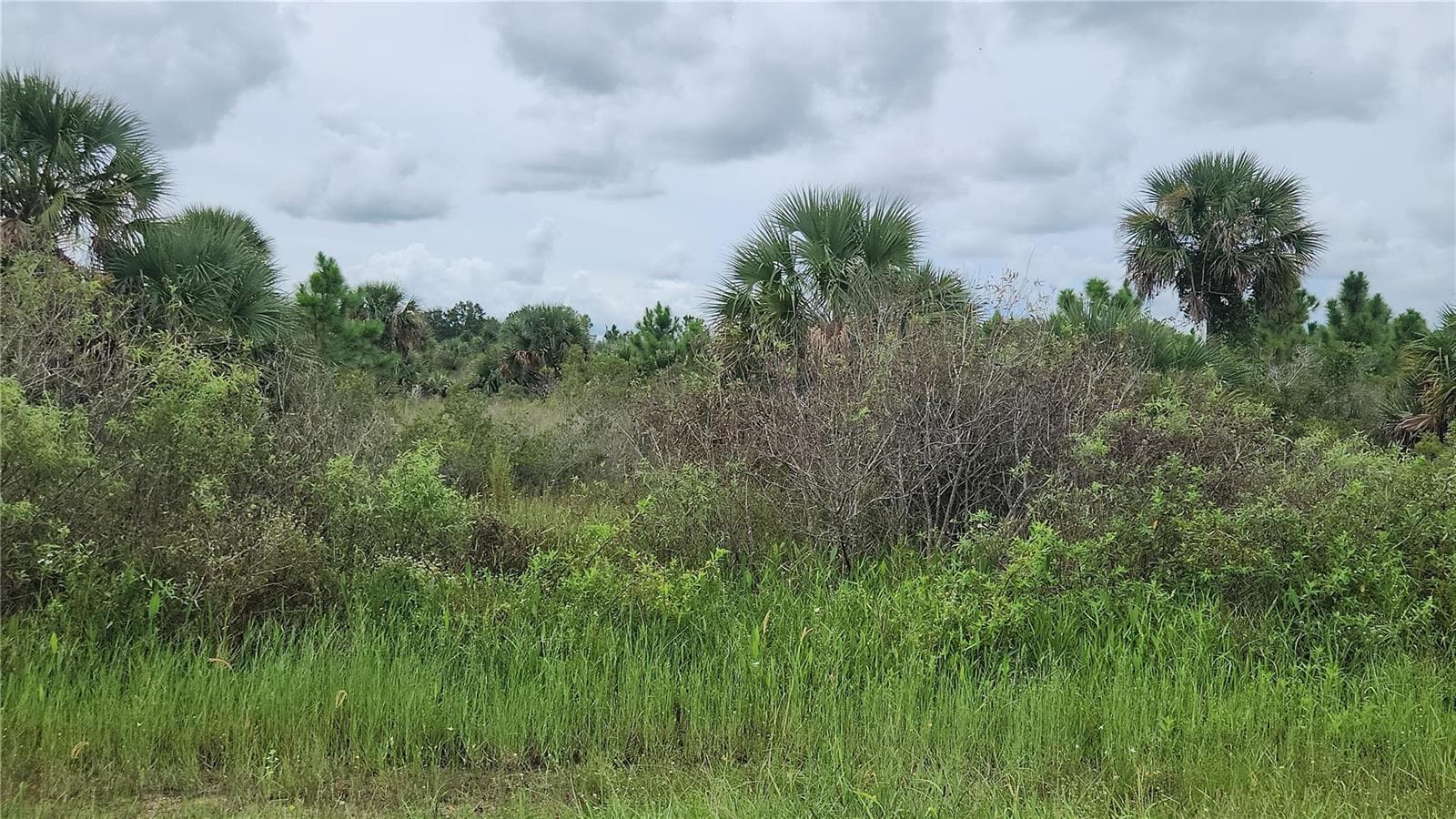 14988 NW 316th Street, Okeechobee, FL 34972 photo 2