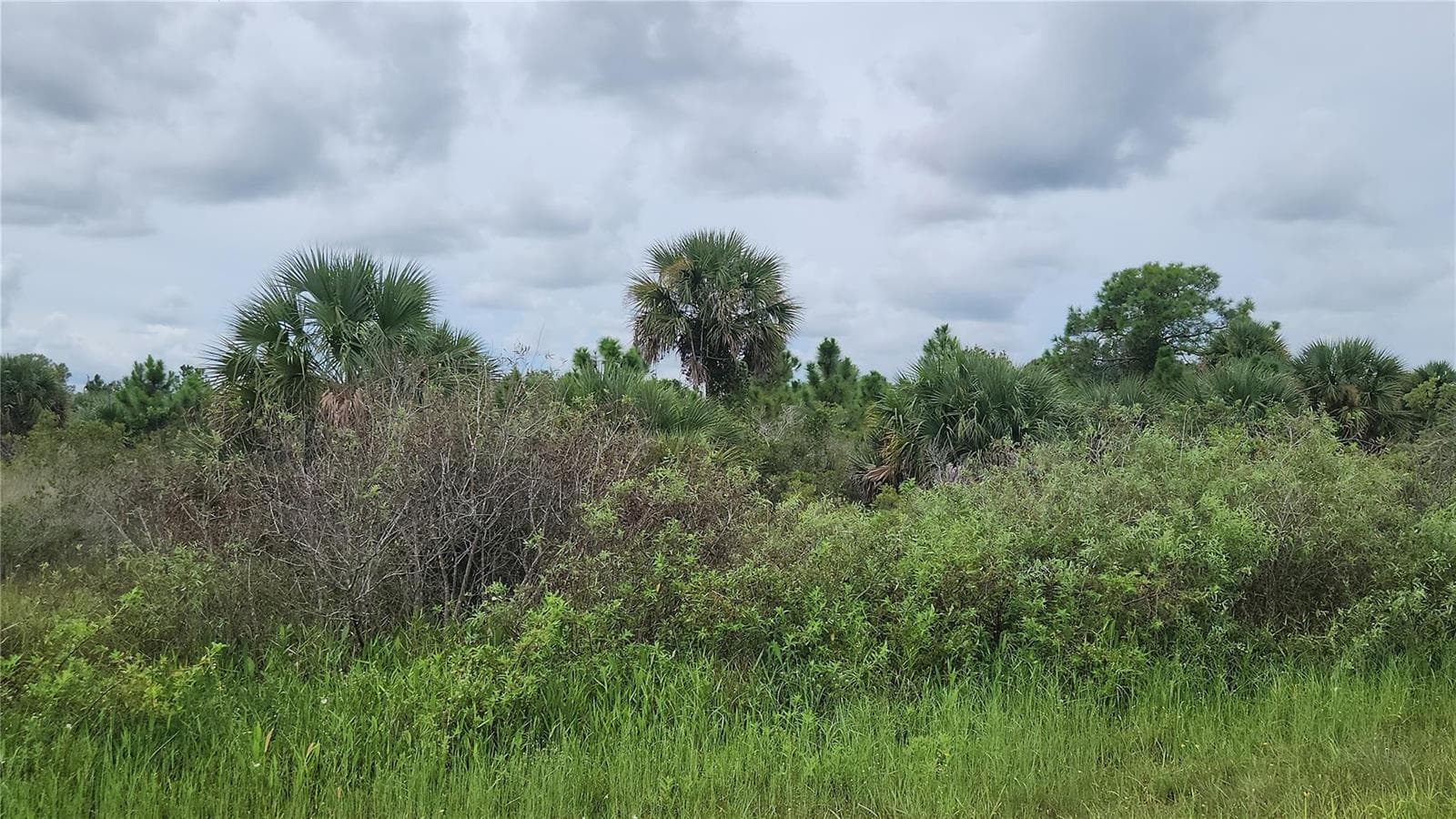 14988 NW 316th Street, Okeechobee, FL 34972 photo 3