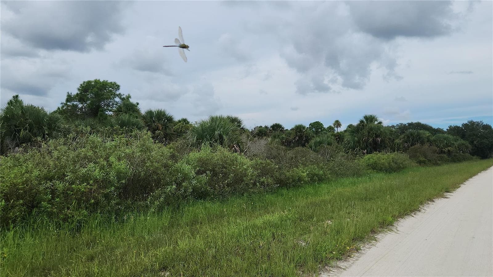 14988 NW 316th Street, Okeechobee, FL 34972 photo 4