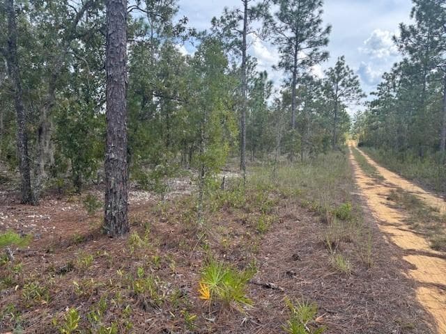 0 Gray Street, FL 32148 photo 2