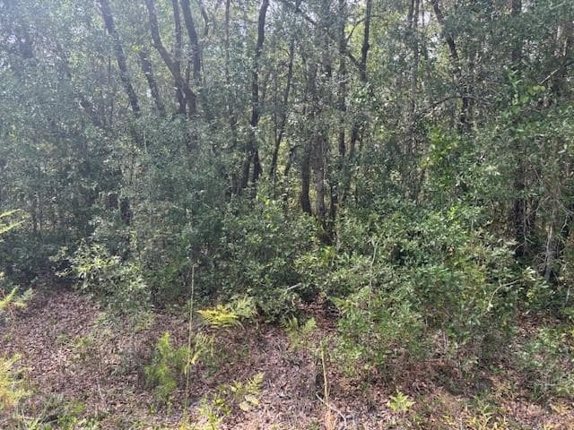 0 Gray Street, FL 32148 photo 3