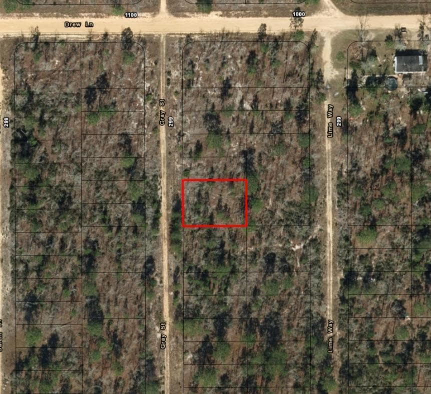 0 Gray Street, FL 32148 photo 4