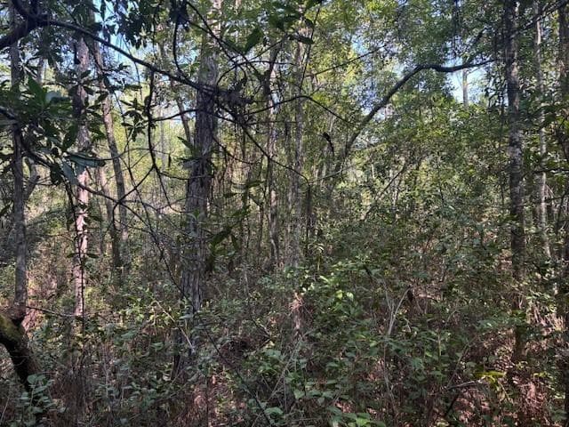 224 SE 8th Avenue, Palatka, FL 32177 photo 2