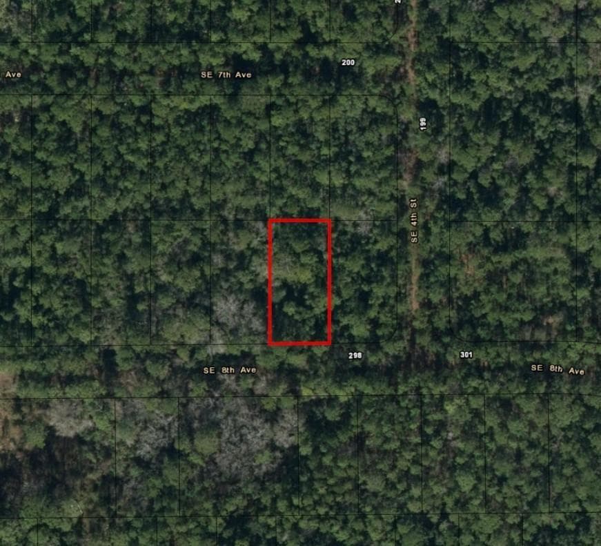 224 SE 8th Avenue, Palatka, FL 32177 photo 3