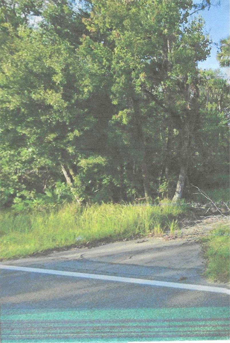 00 Adair Road, Davenport, FL 33837 photo 2