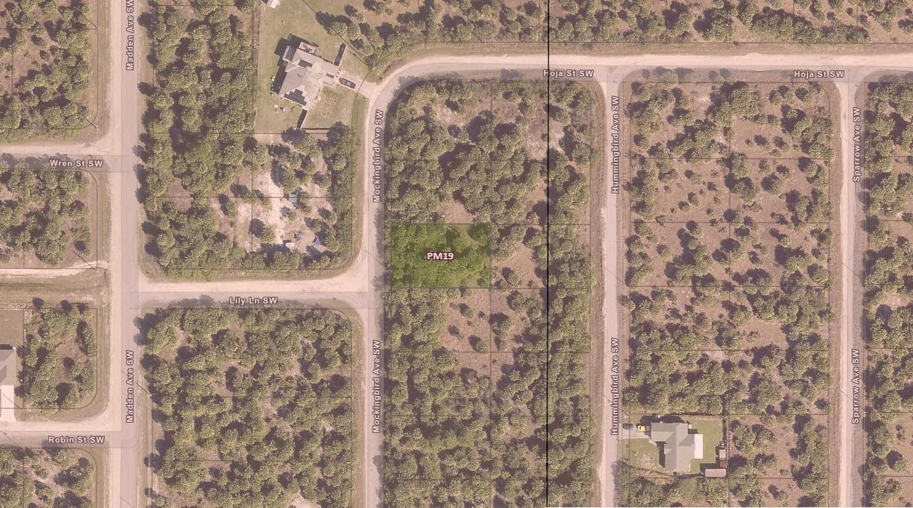 3223 SW Mockingbird Avenue, Palm Bay, FL 32908 photo 4