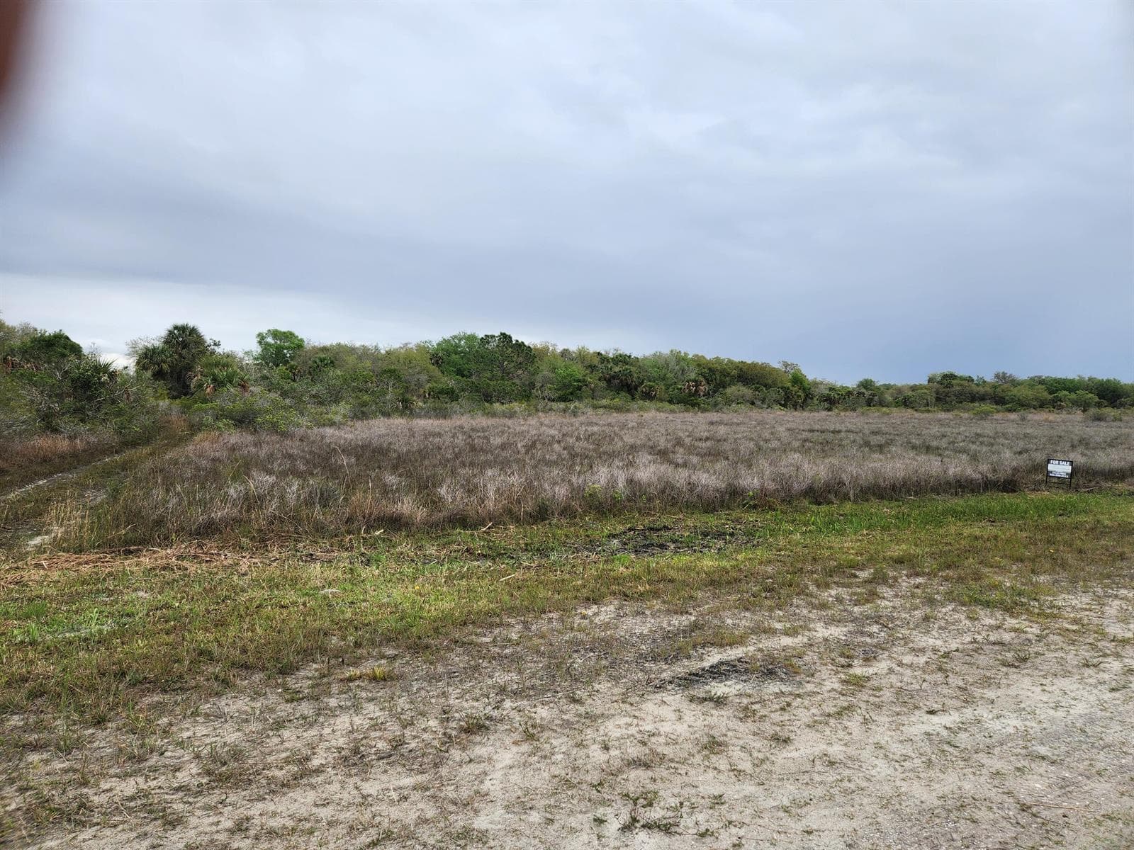 15679 NW 296th Street, Okeechobee, FL 34972 photo 4