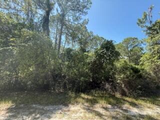 337 Palm Way, FL 32139