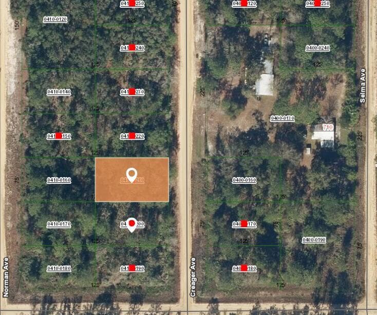 002 Creager Avenue, FL 32148 photo 2