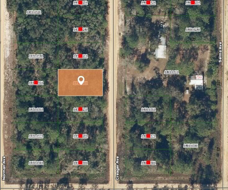 003 Creager Avenue, FL 32148 photo 2