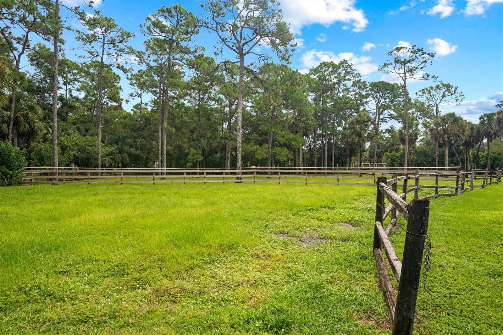 2915 Doe Trail, FL 33470 photo 5