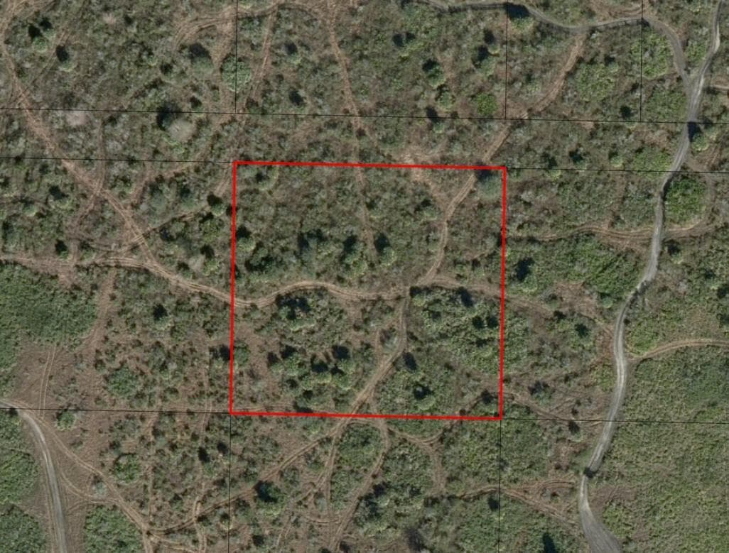 0 NW 312th Street, Okeechobee, FL 34972 photo 2
