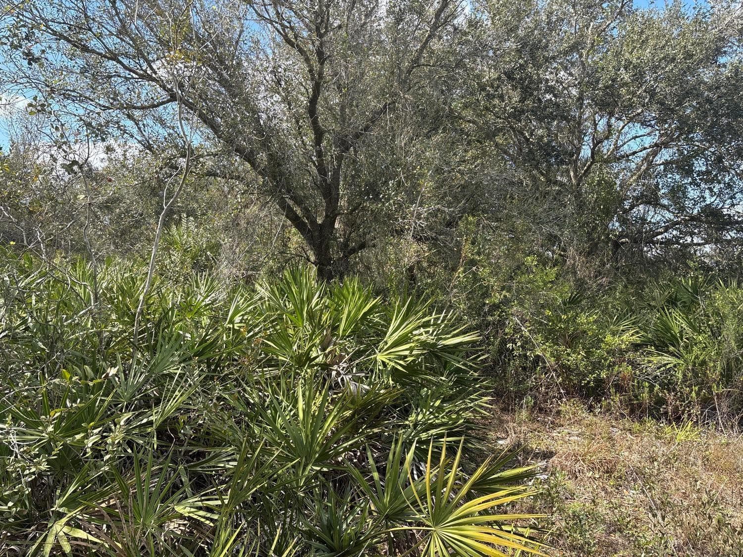 0 NW 300th Street, Okeechobee, FL 34972 photo 2