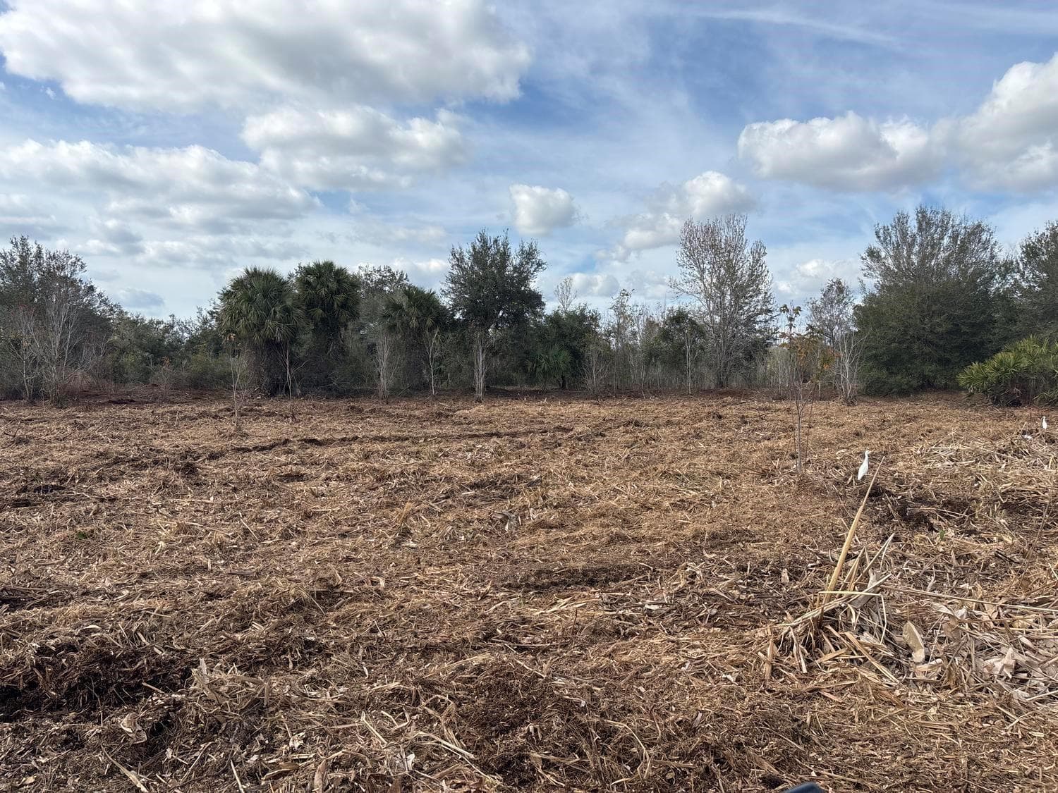 0 NW 296th Street, Okeechobee, FL 34972 photo 3