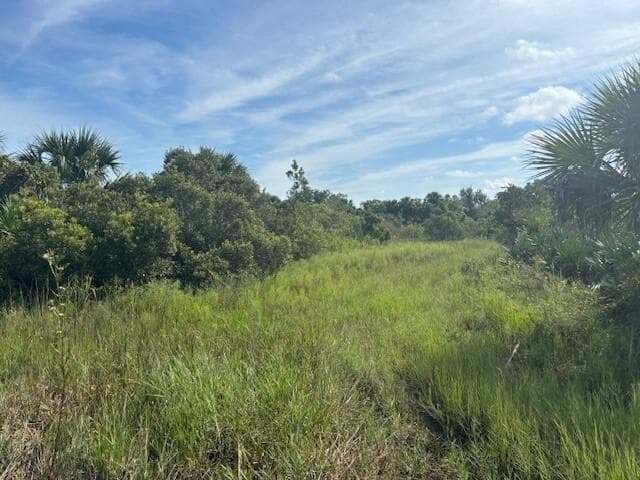 0 NW 308th Street, Okeechobee, FL 34972 photo 2