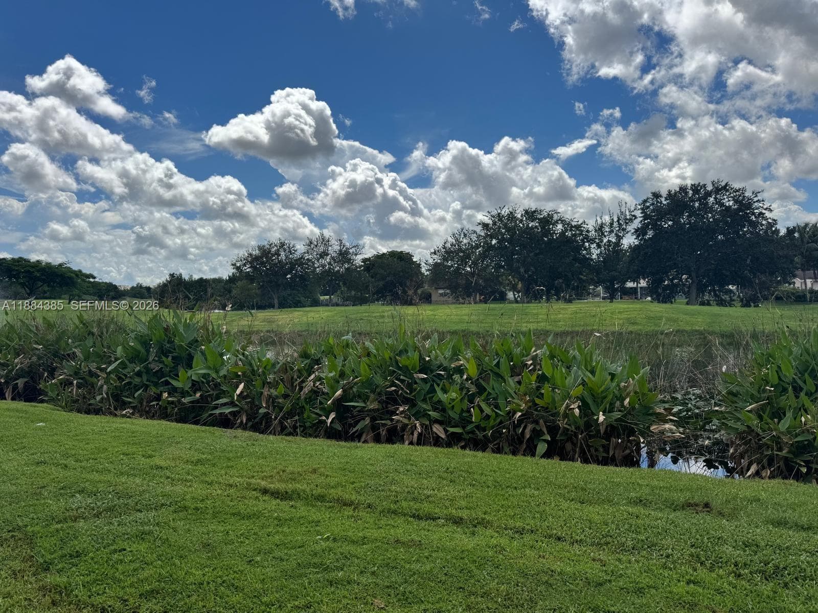 2471 SW 82nd Ave # 108, Davie, FL 33324 photo 3