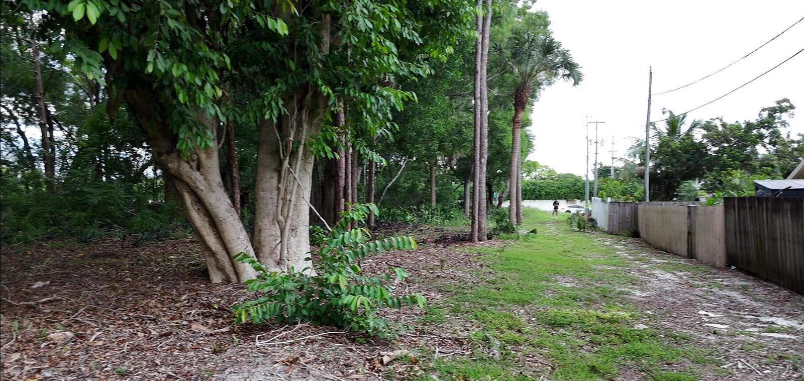 0000 Lantana Road, Atlantis, FL 33462 photo 3