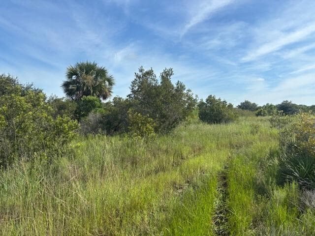 0 NW 310th Street, Okeechobee, FL 34972 photo 2