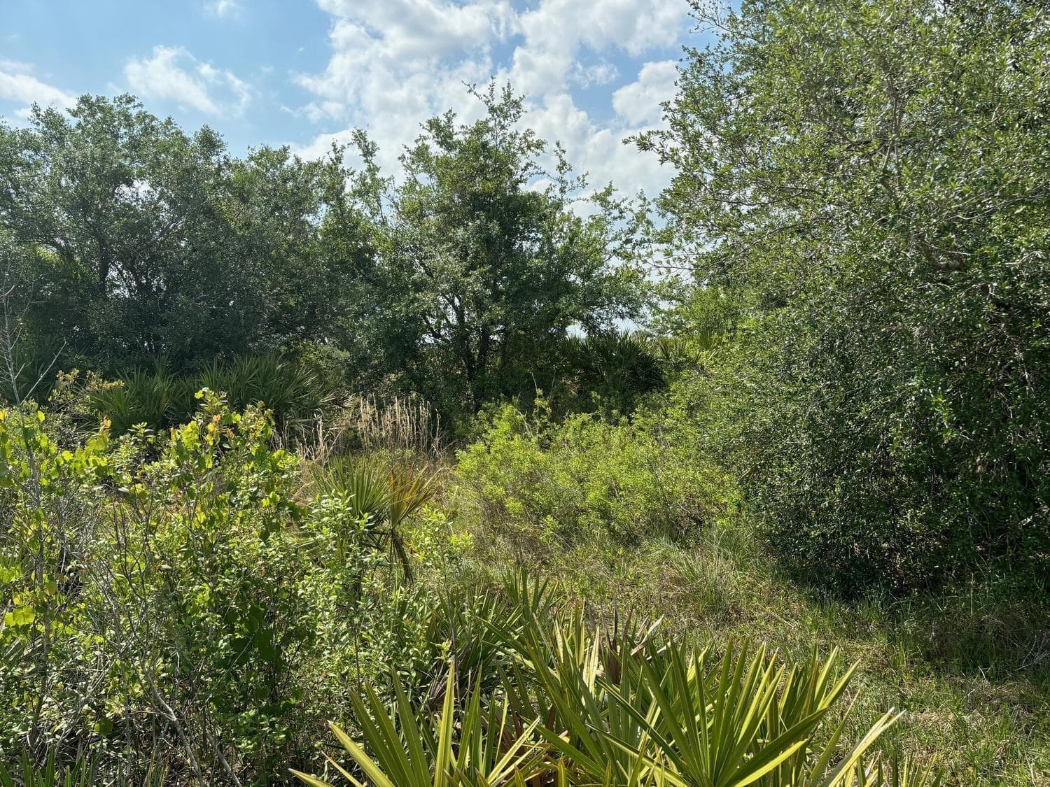 0 NW 318th Street, Okeechobee, FL 34972 photo 3