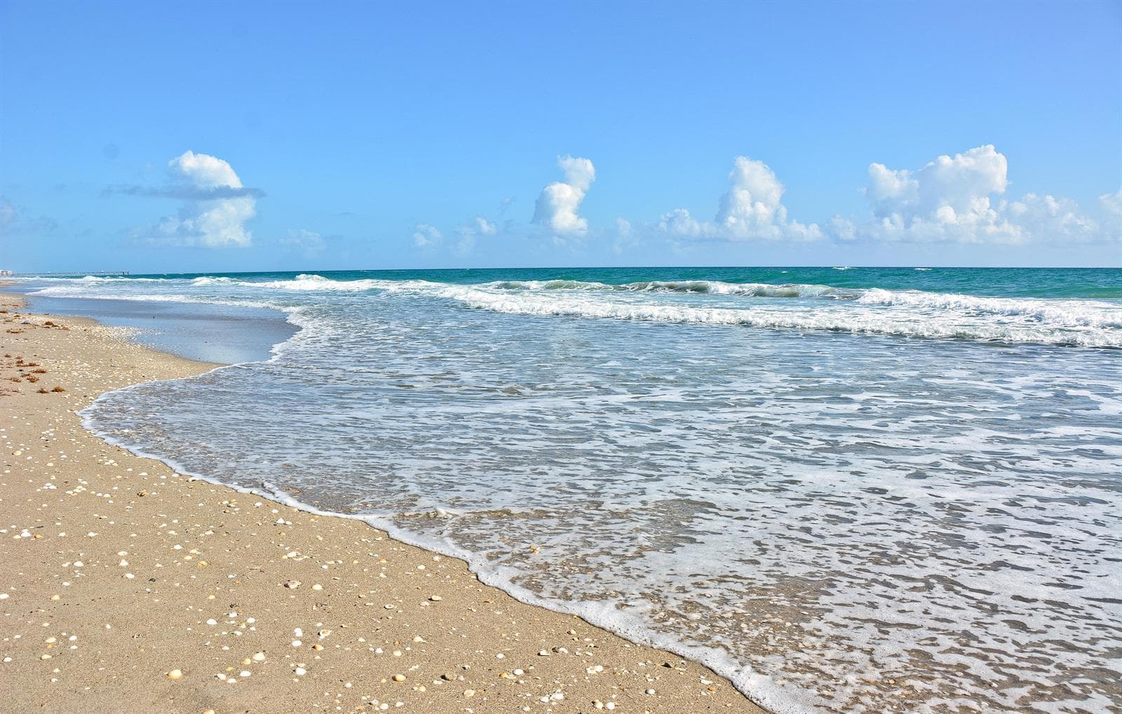 50 Celestial Way # 8e, Juno Beach, FL 33408 photo 5