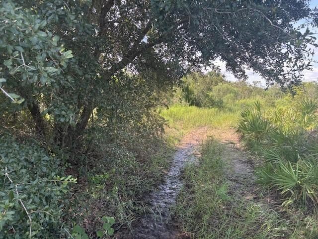 0 NW 310th Street, Okeechobee, FL 34972 photo 2