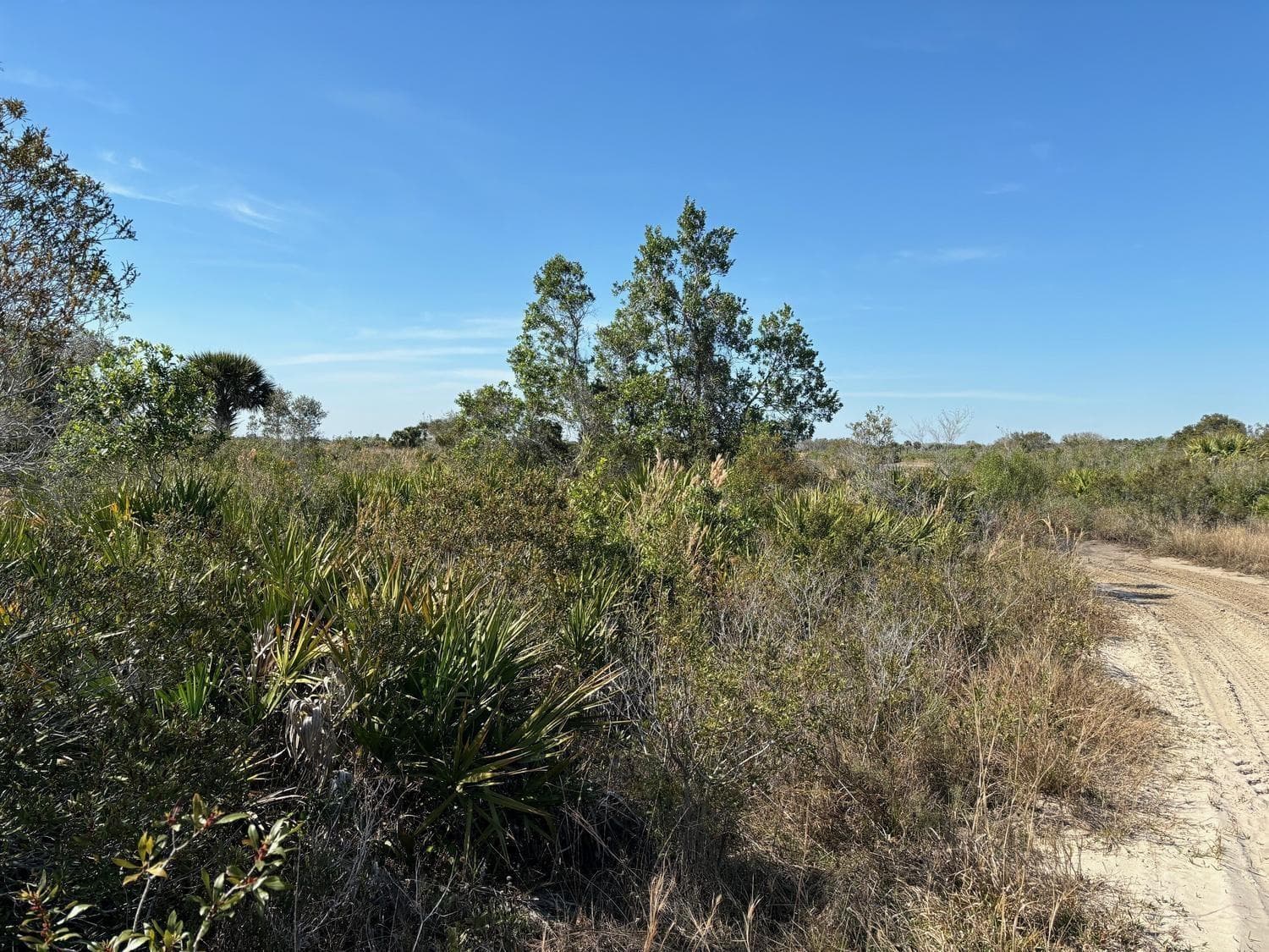 0 NW 308th Street, Okeechobee, FL 34972 photo 2