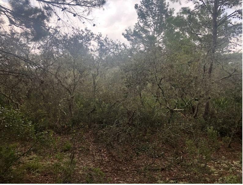 0 Alturas Babson Park Cutoff Road, Lake Wales, FL 33859 photo 2