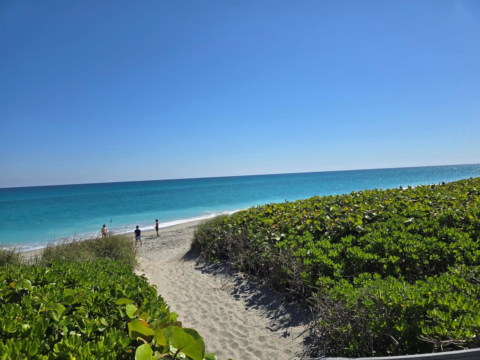 420 Celestial Way # 204, Juno Beach, FL 33408 photo 2