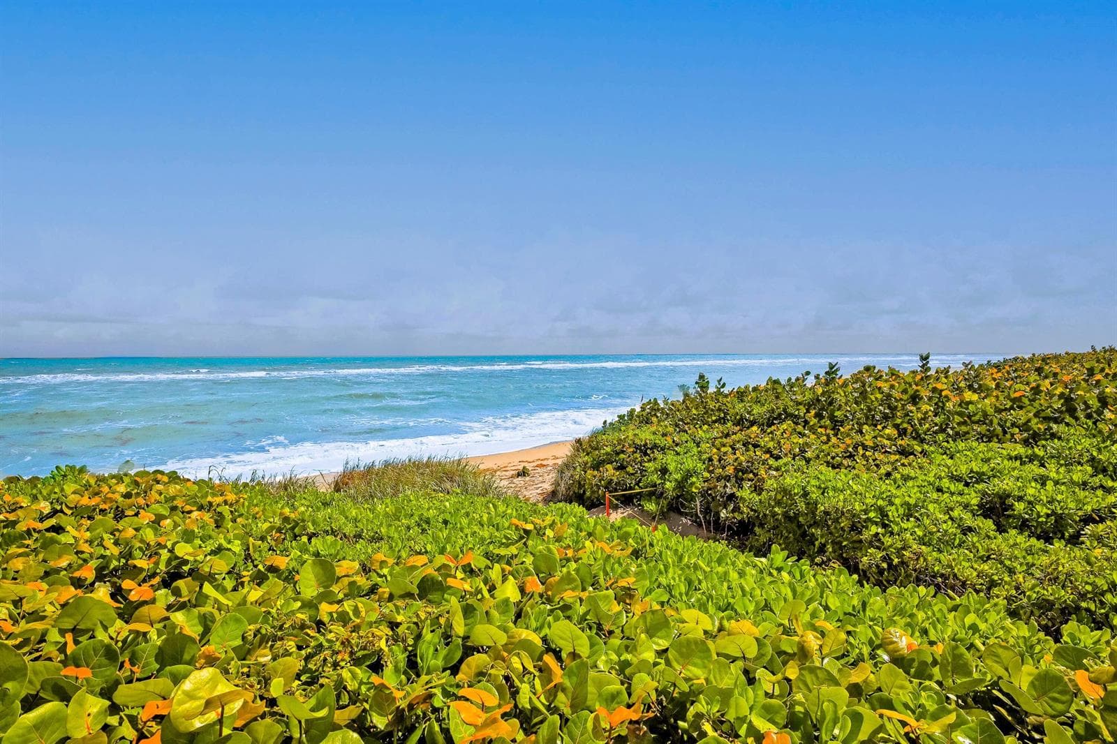 420 Celestial Way # 204, Juno Beach, FL 33408 photo 4