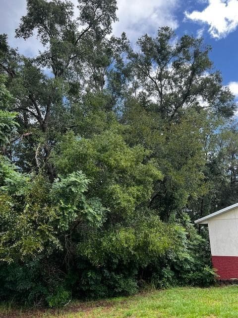 000 Silver Course Loop, Ocala, FL 34472 photo 3