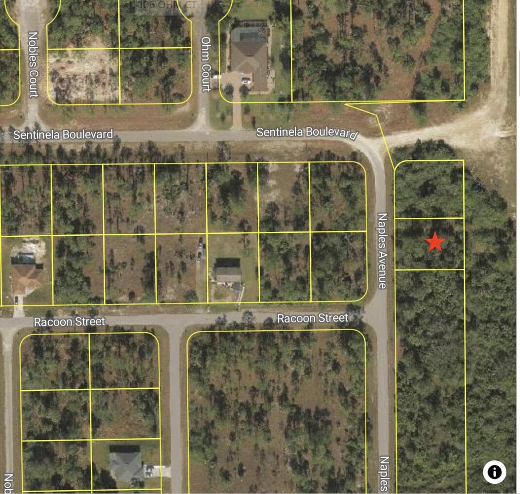 121 Naples Avenue S, Lehigh Acres, FL 33974