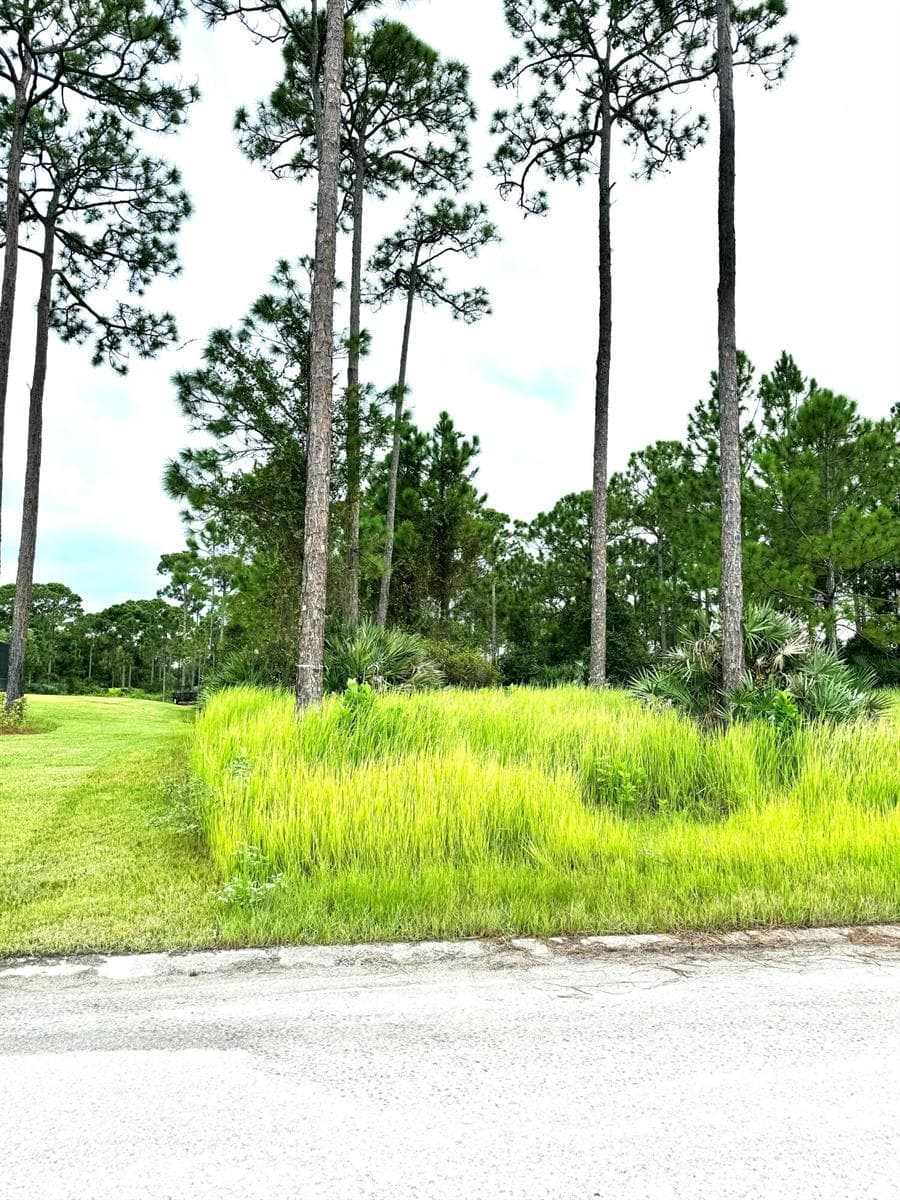 10615 Sugar Pine Drive, Fort Pierce, FL 34945 photo 3