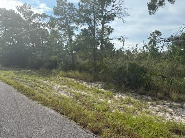 533 Boylston Street, Lake Placid, FL 33852 photo 2