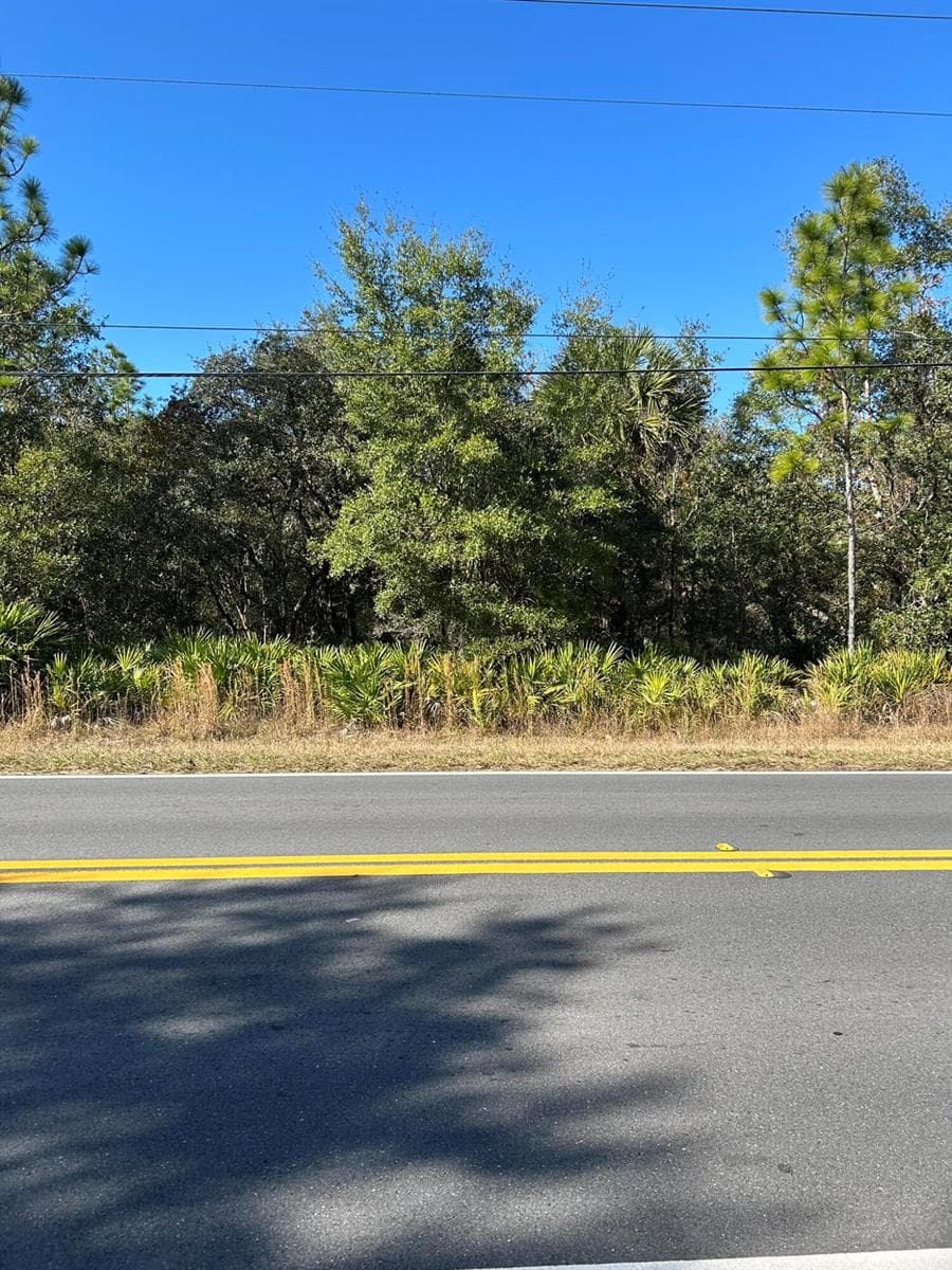 632 N Dunkenfield Avenue, FL 34429 photo 3