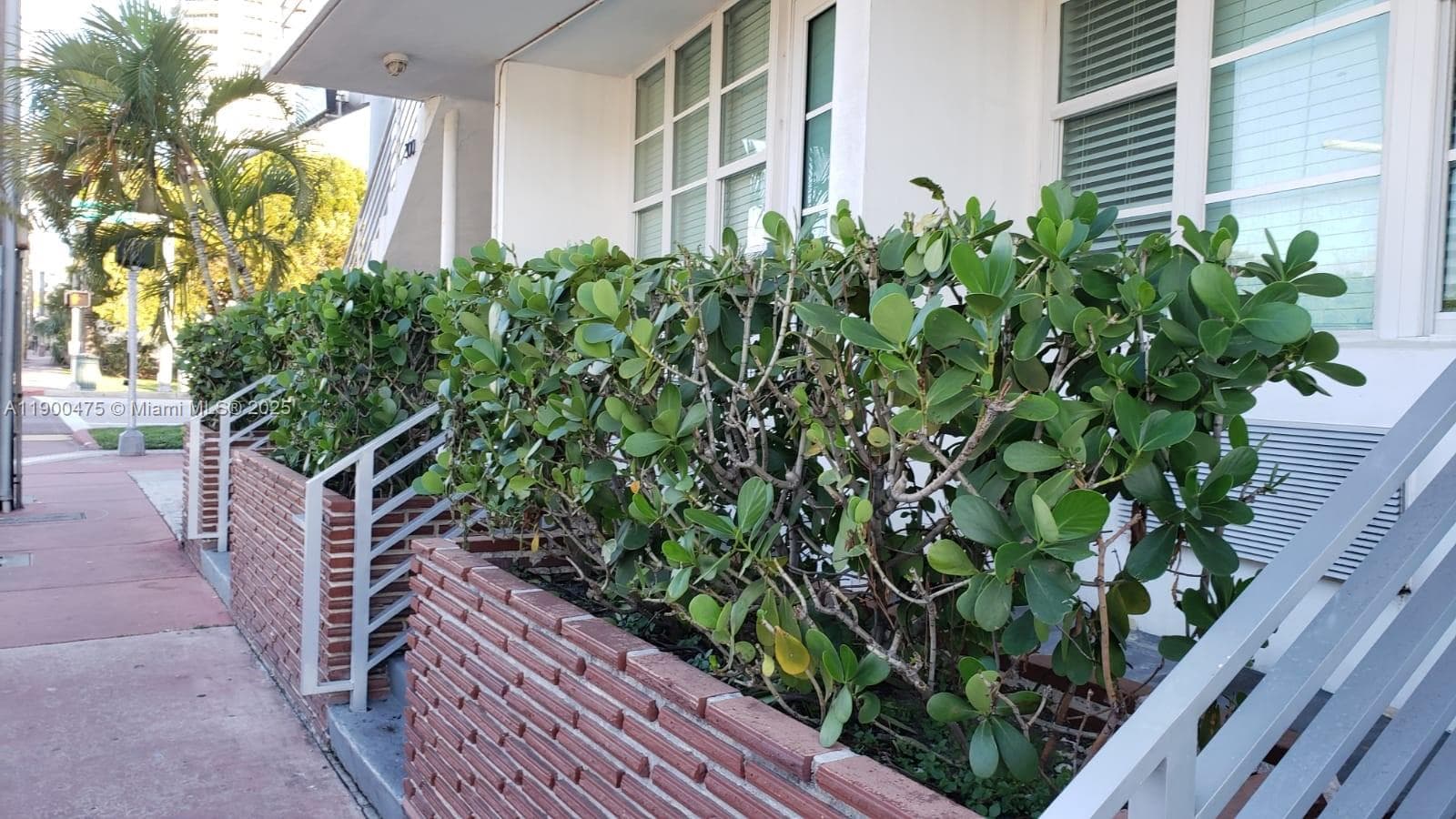 300 74th St # 3, Miami Beach, FL 33141 photo 2