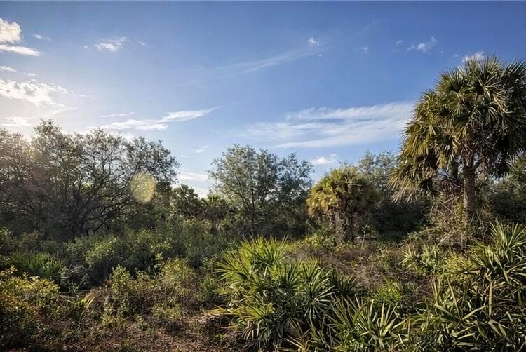 0 NW 294th, Okeechobee, FL 34974 photo 3