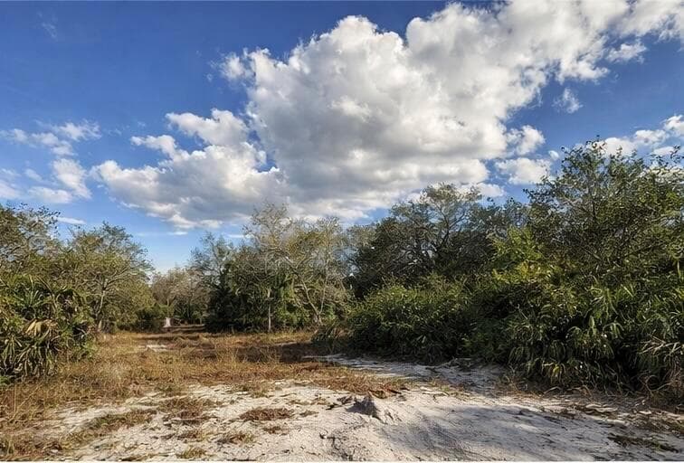0 NW 294th, Okeechobee, FL 34974 photo 5
