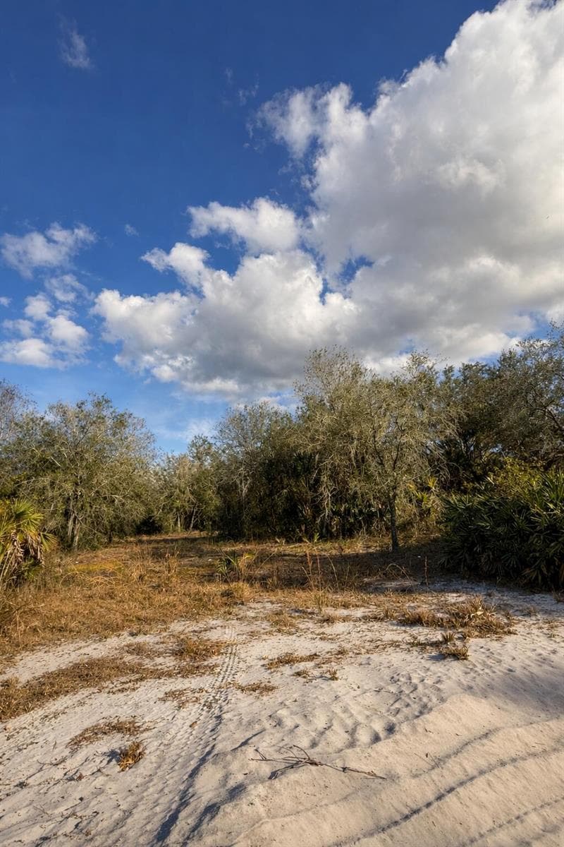 0 NW 294th, Okeechobee, FL 34974 photo 4