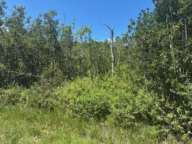 0 Sweet Hill Road, FL 33868 photo 2