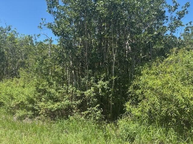 0 Sweet Hill Road, FL 33868 photo 3