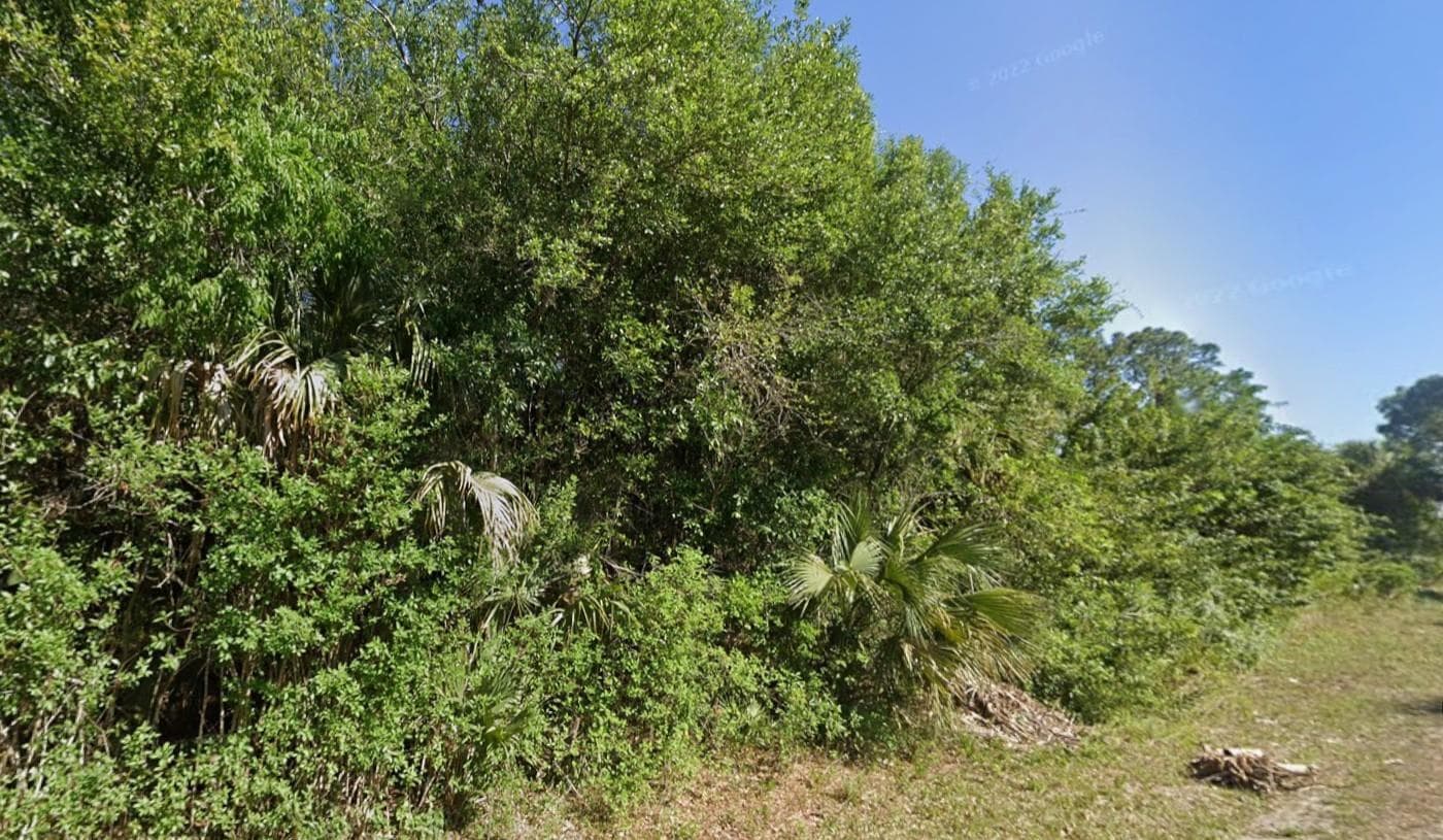 4702 Vera Avenue, Lehigh Acres, FL 33971 photo 5