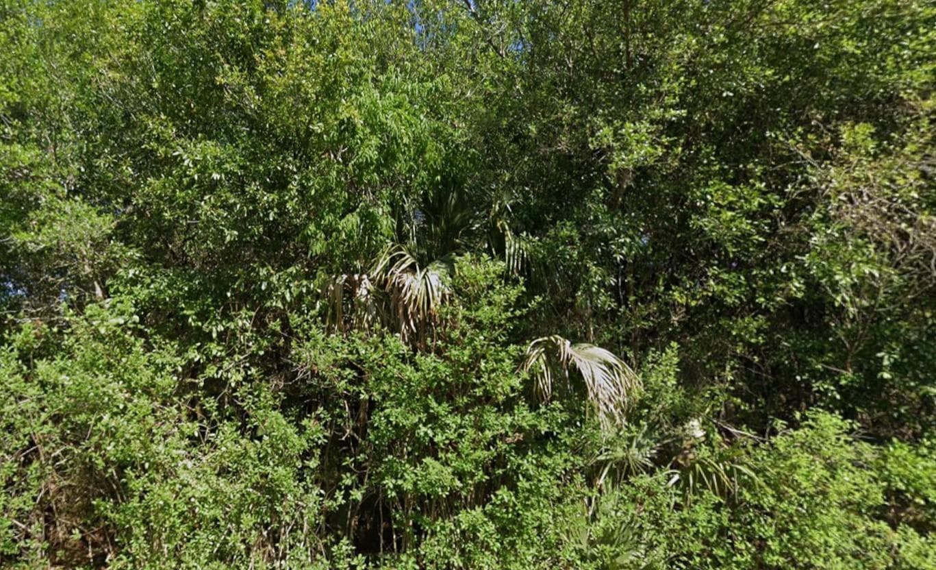 4702 Vera Avenue, Lehigh Acres, FL 33971 photo 4