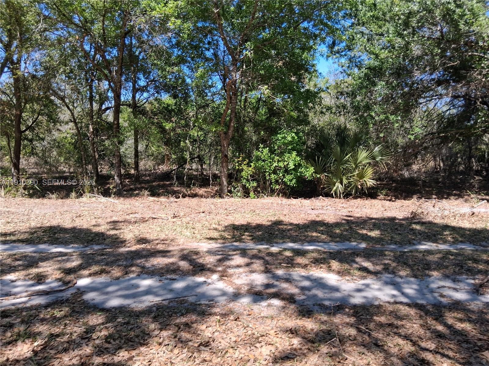 2822 W Yepremian Rd, Avon Park, FL 33825