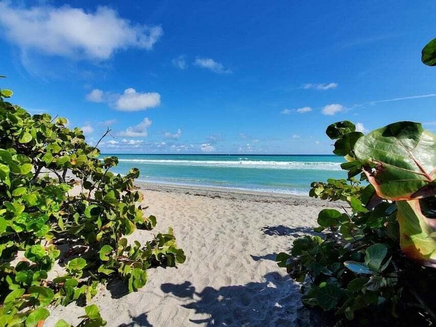 1605 S Us Highway 1 # F203, Jupiter, FL 33477 photo 2