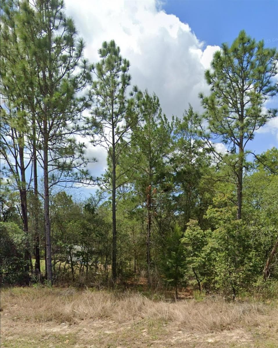 3808 W Indian Rock Place, FL 34433 photo 2